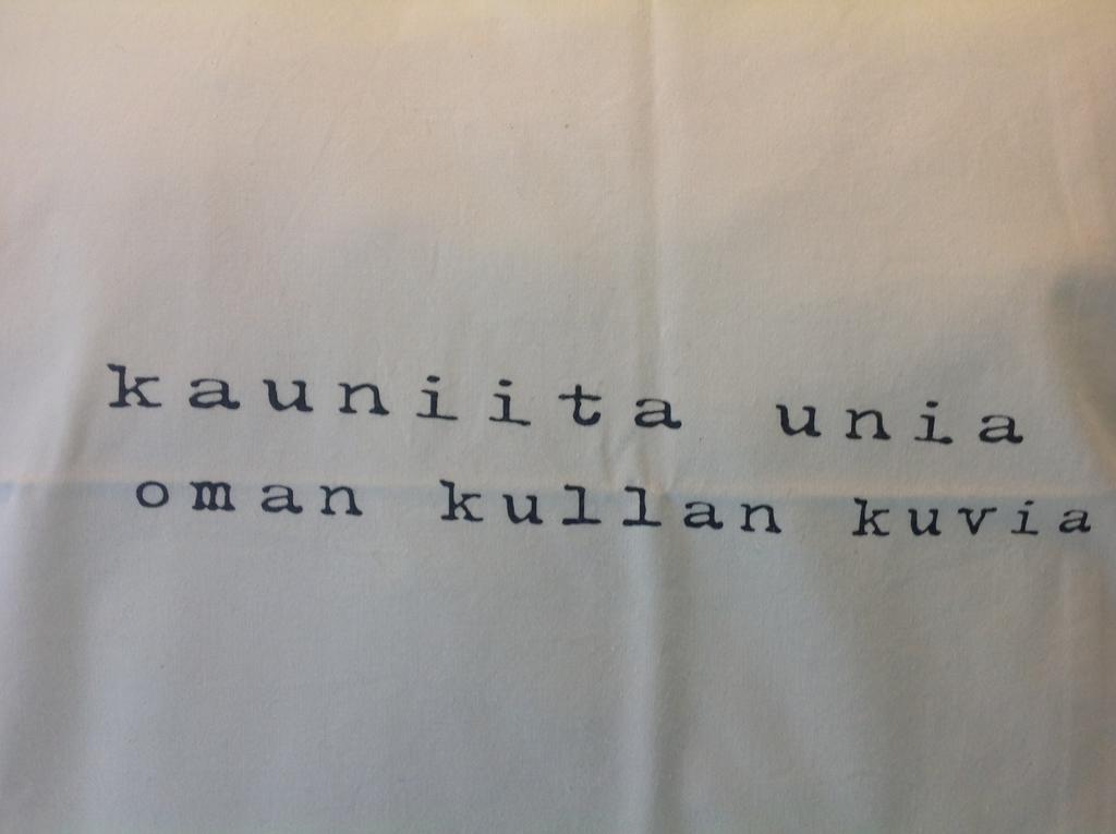 Gasthaus Villa Svensk Porvoo Bagian luar foto